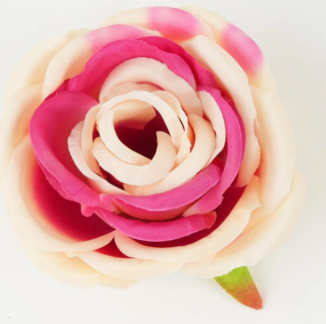 Cabbage Peony/Rose